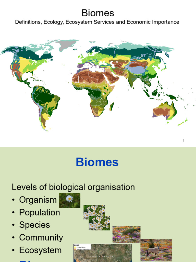 Understanding Biomes and Ecosystems | PDF | Savanna | Grassland