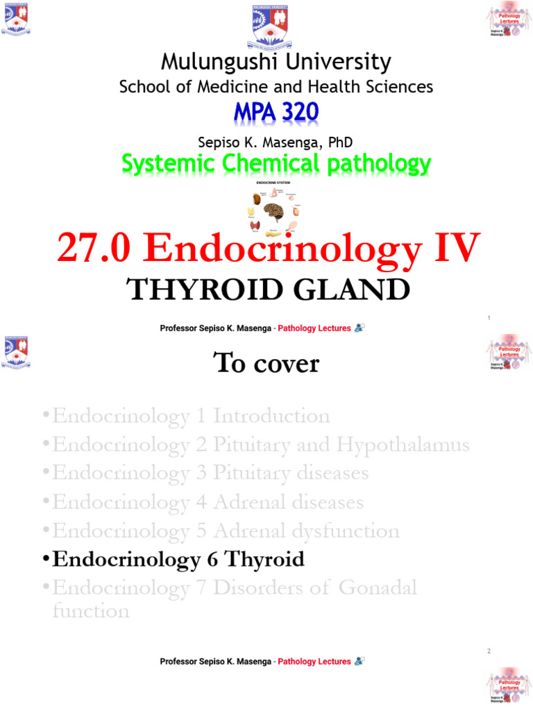 Thyroid Gland Overview and Functions | PDF | Thyroid | Hyperthyroidism