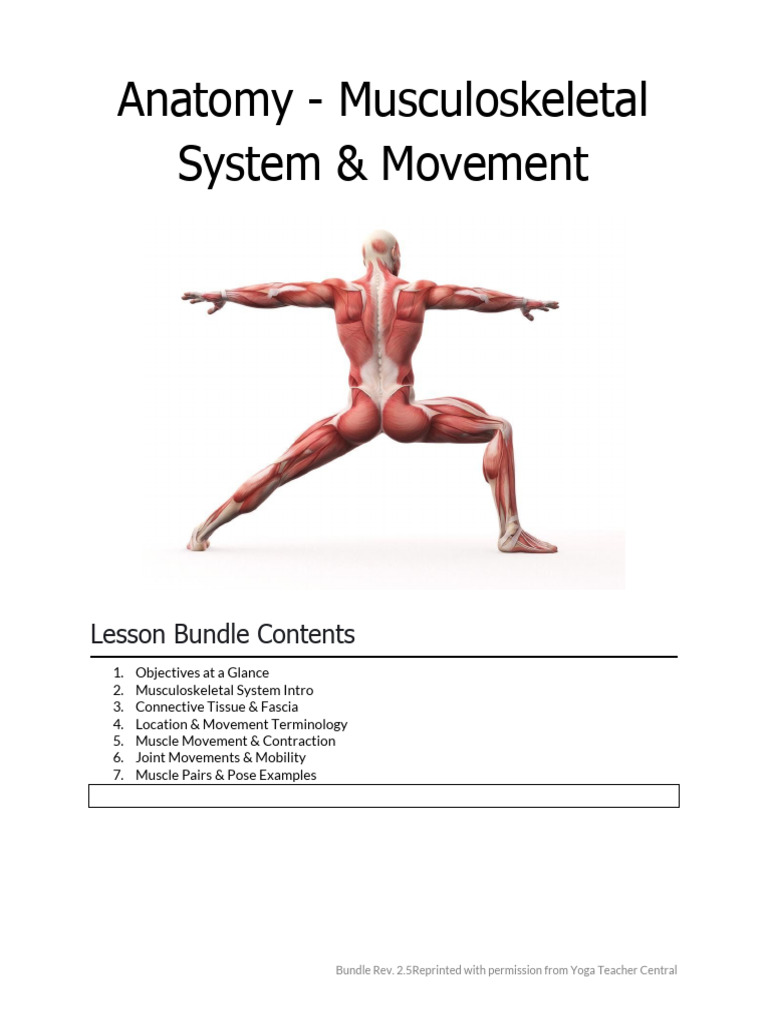 Musculoskeletal System & Movement Guide | PDF | Anatomical Terms Of ...