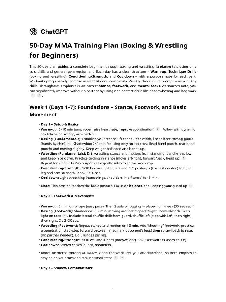 50-Day Beginner MMA Training Plan | PDF