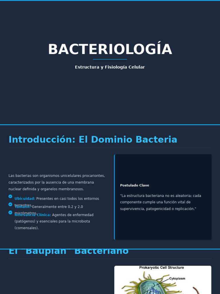 Estructura y Función de las Bacterias | PDF | Las bacterias | Biología ...