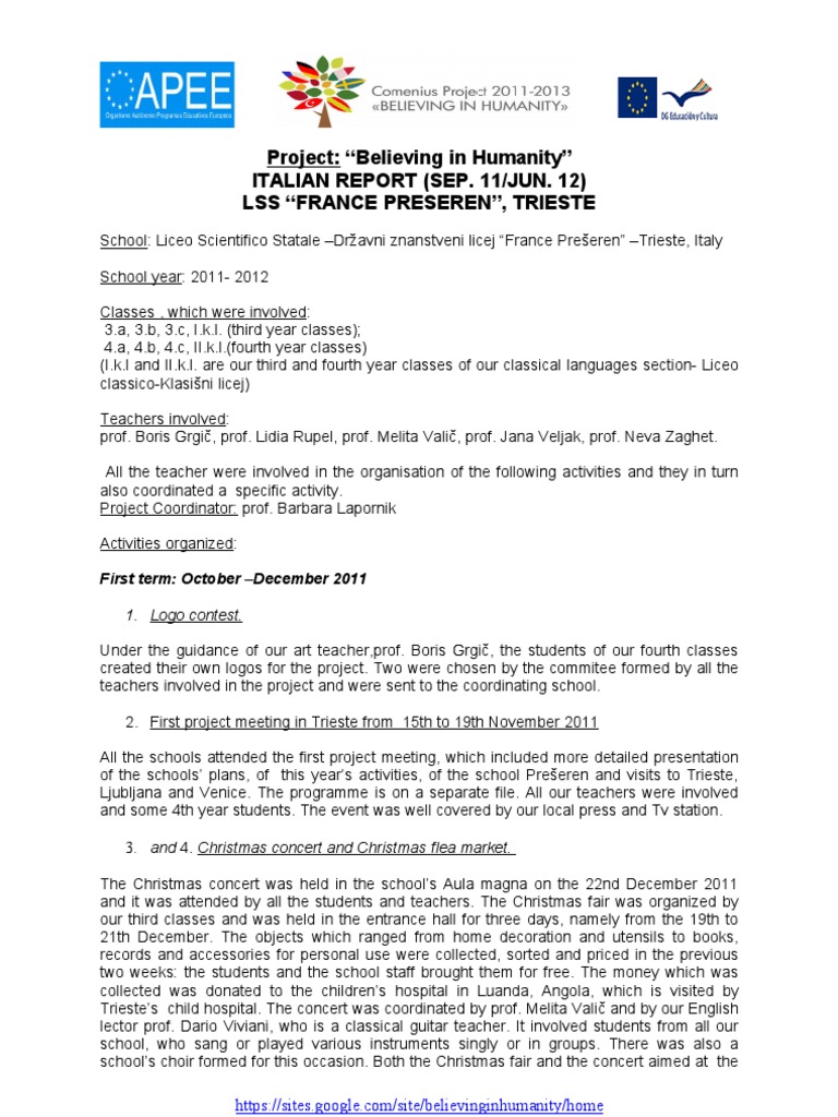 Italian Report BIH (1st Year) | PDF | Social Science