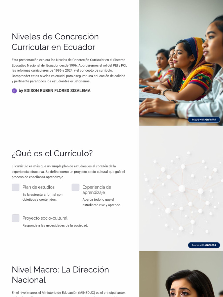 Niveles de Concreción Curricular en Ecuador | PDF | Plan de estudios ...