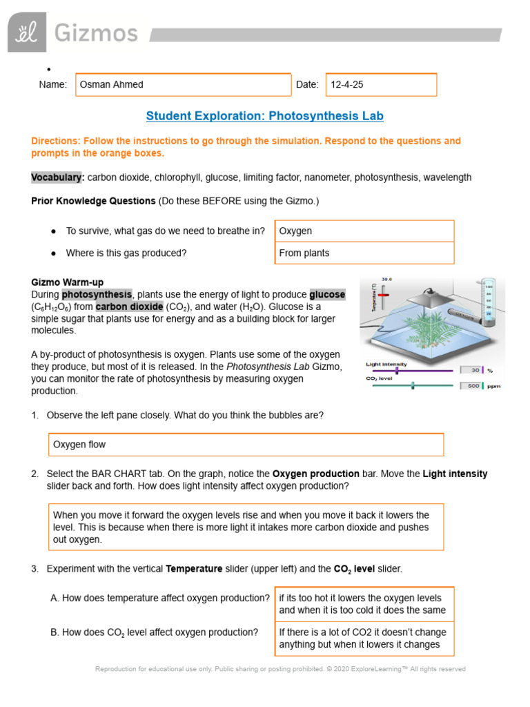 Photosynthesis Lab Exploration Guide | PDF | Photosynthesis | Carbon ...