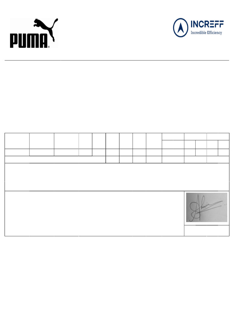 Invoice PUMA-3683296 | PDF