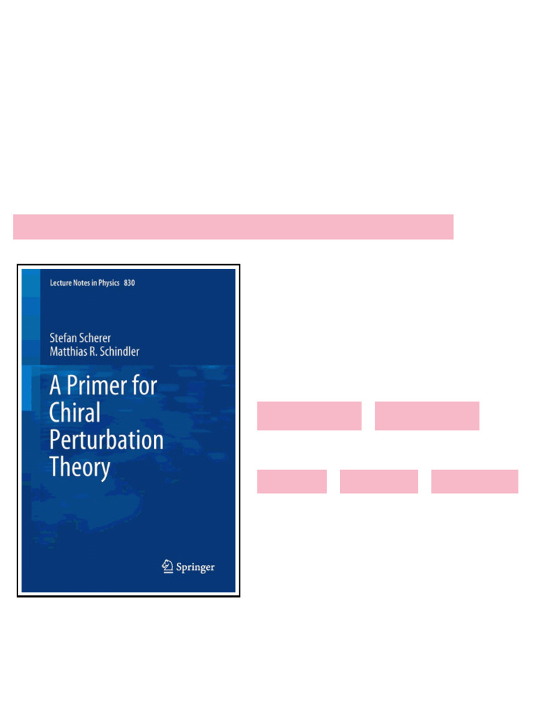 Primer for Chiral Perturbation Theory (Lecture Notes in Physics 830) A ...