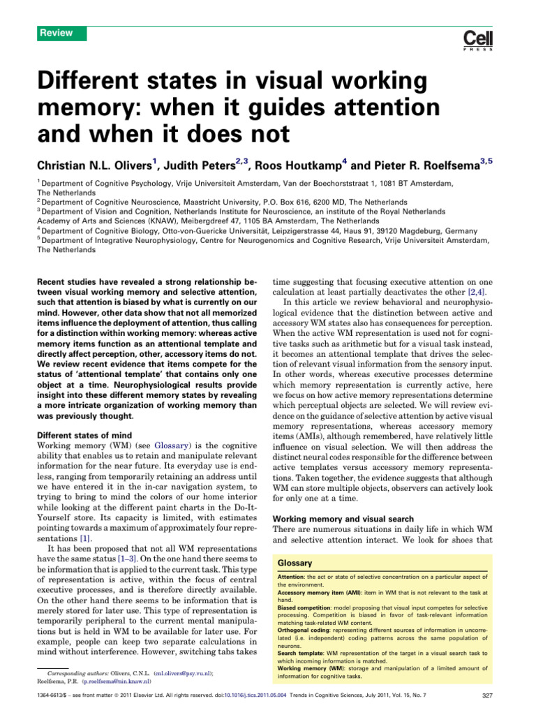 Visual Working Memory and Attention Dynamics | PDF | Memory | Synapse