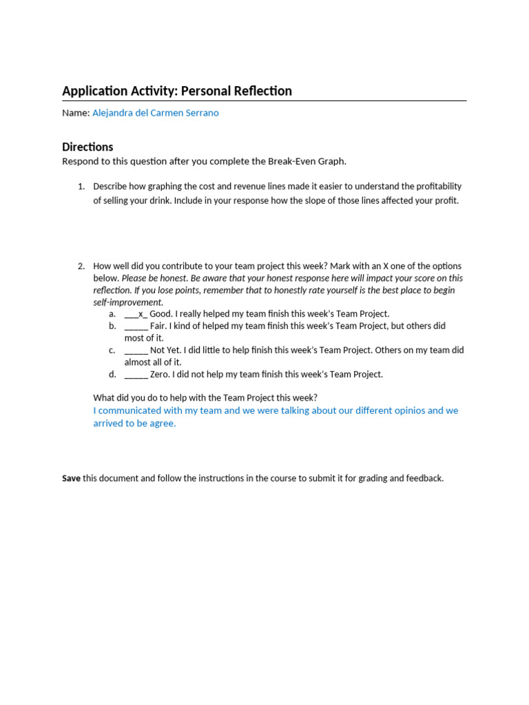 Personal Reflection on Team Project and Profitability | PDF