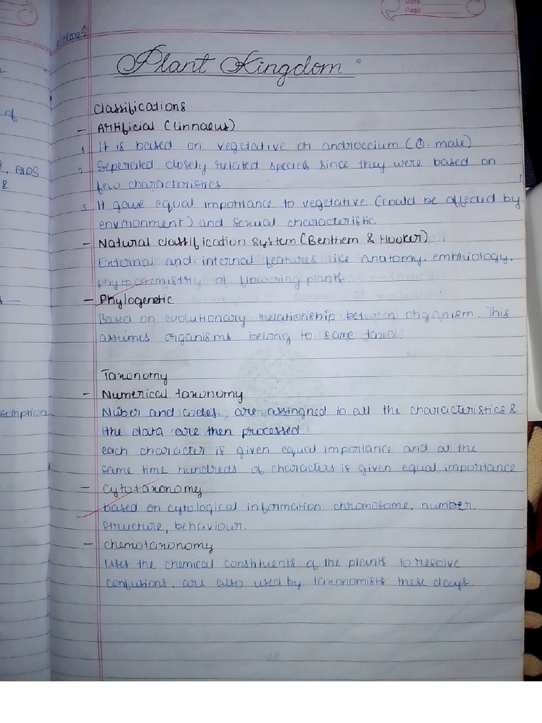 Plant Kingdon CW Notes | PDF