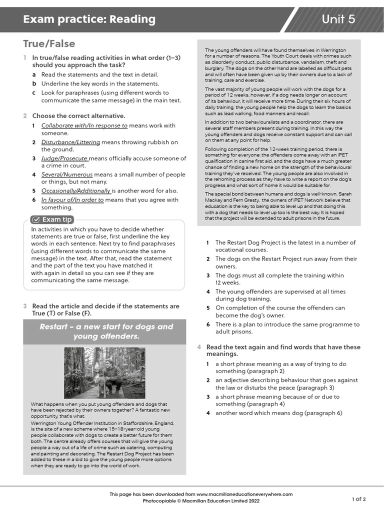 True/False Reading Strategies Guide | PDF | Verb