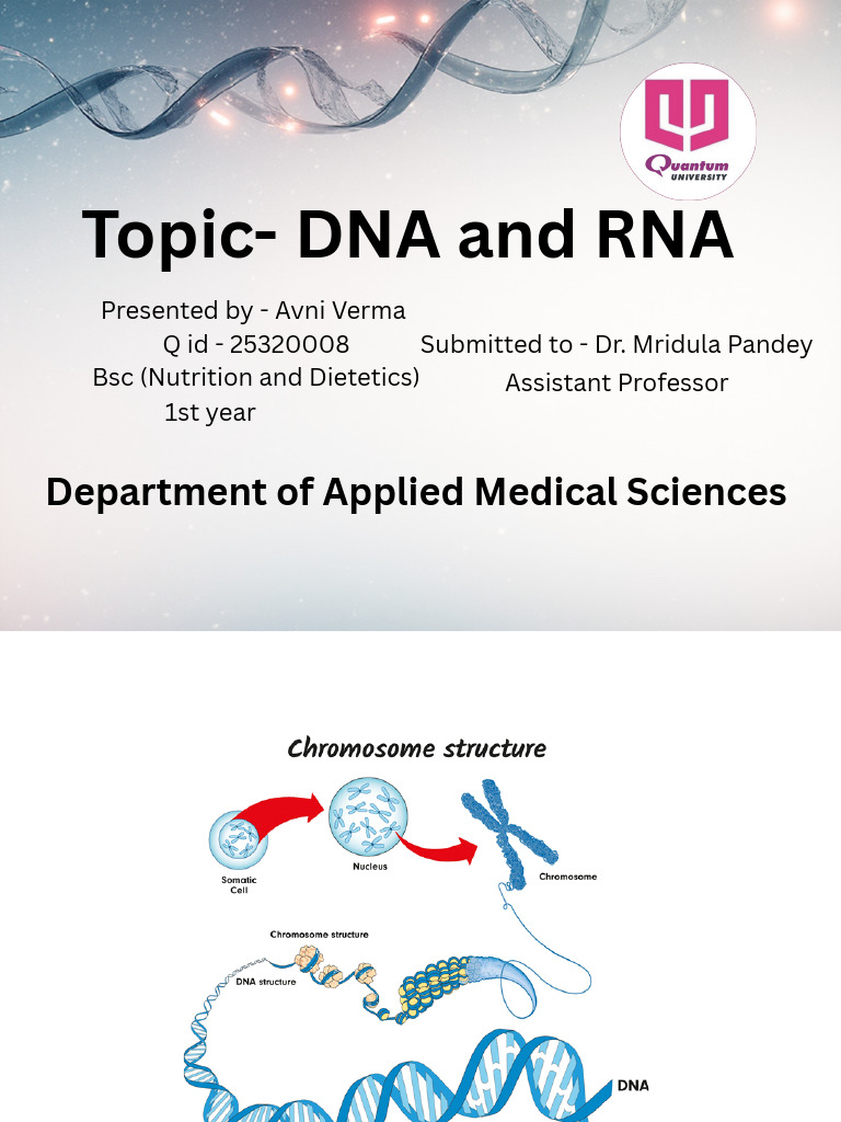 DNA and RNA: Structure and Functions | PDF | Rna | Dna