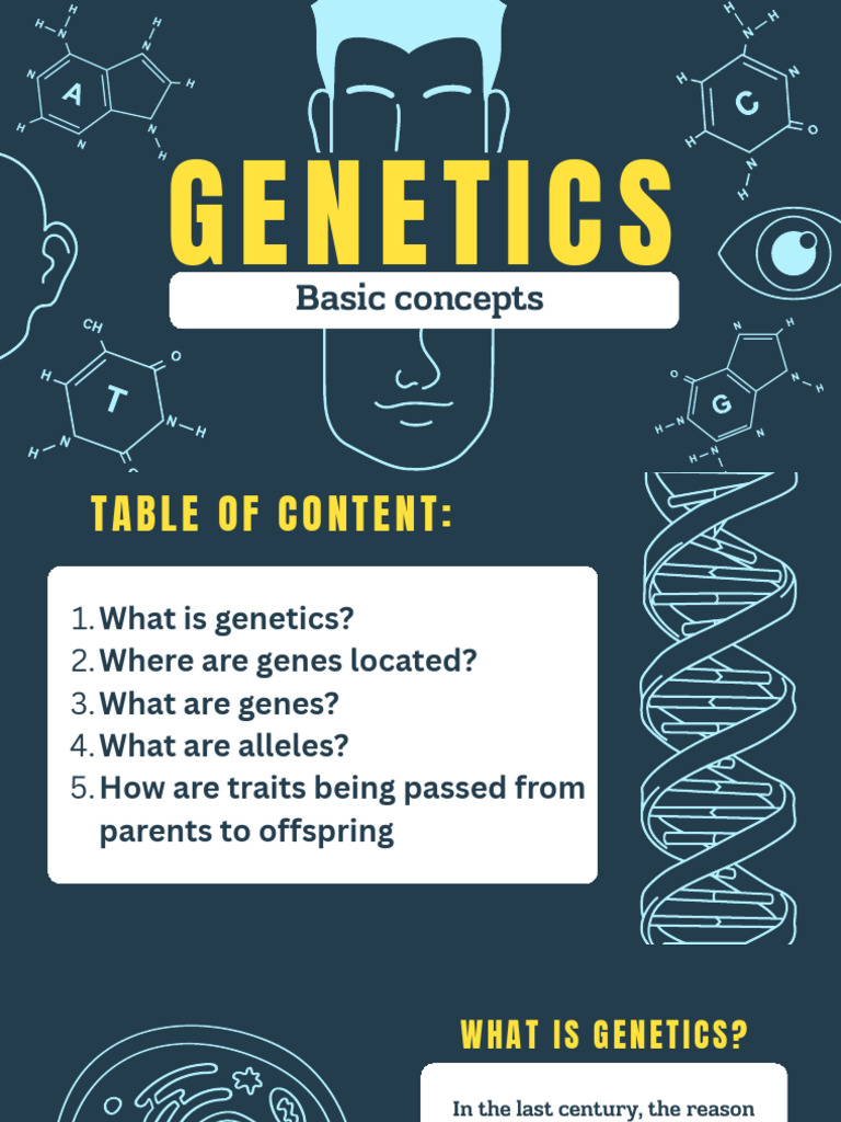 Basic Concepts | PDF | Gene | Genetics