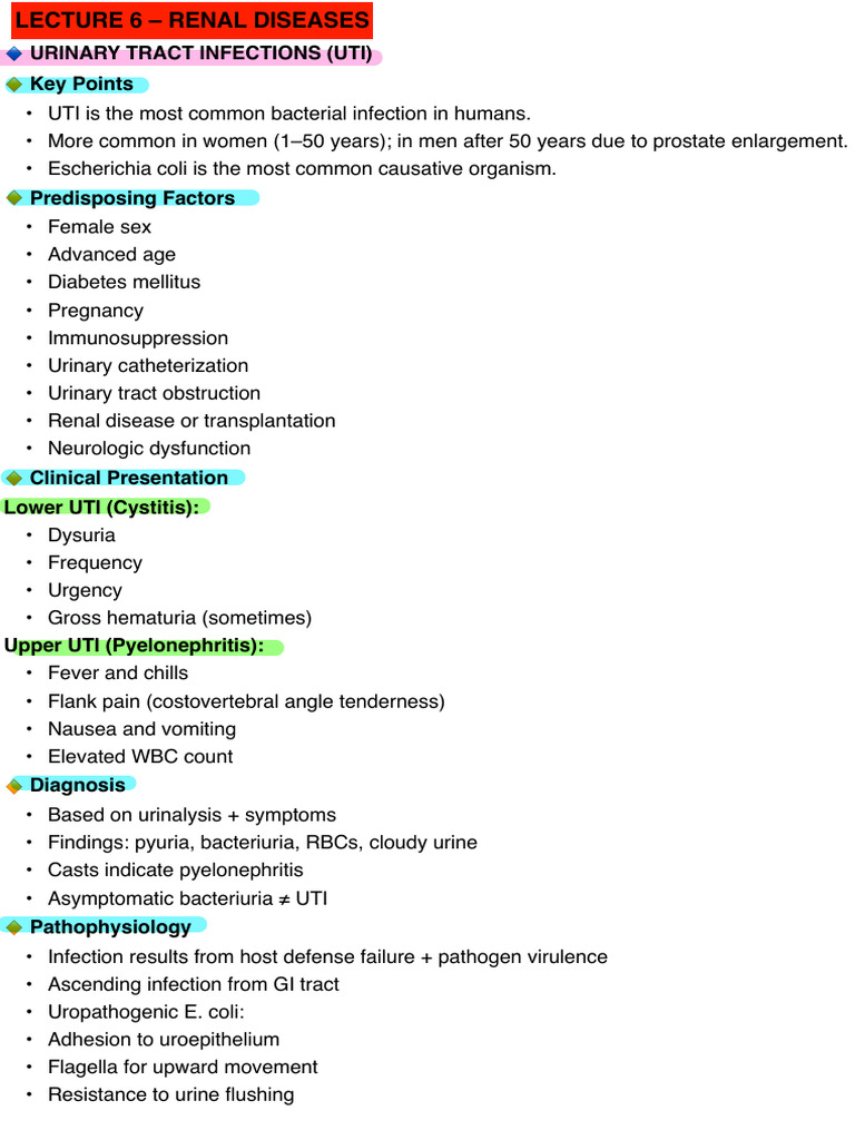 ⁩urinary tract infections (uti) | PDF | Urinary Tract Infection ...