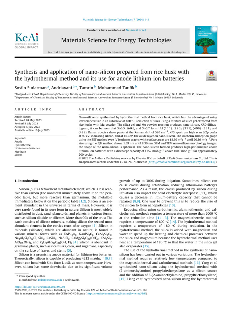 Nano-Silicon from Rice Husk for Batteries | PDF | Silicon Dioxide ...