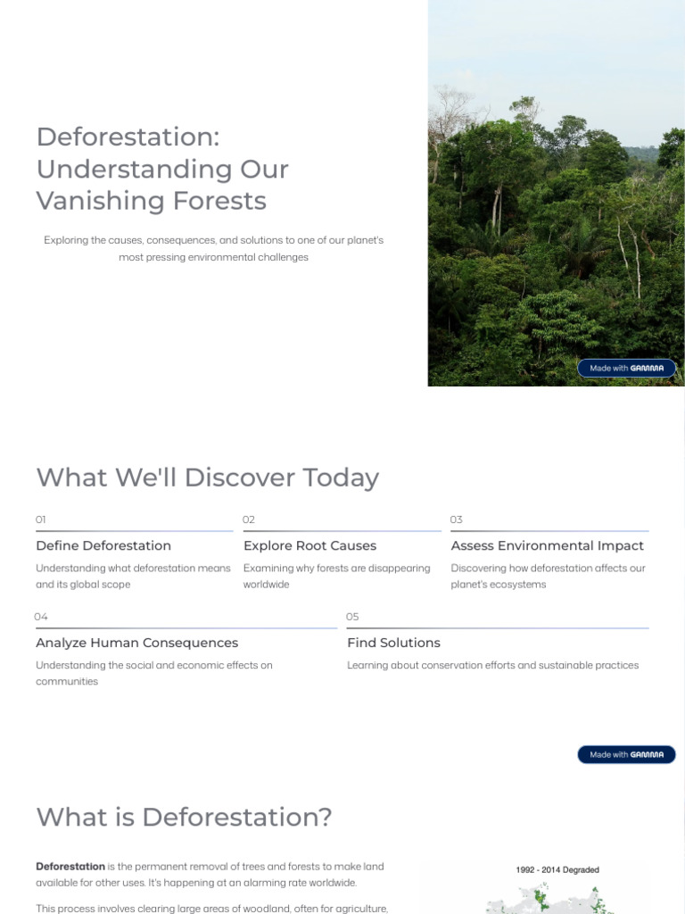 Deforestation Understanding Our Vanishing Forests | PDF | Deforestation ...