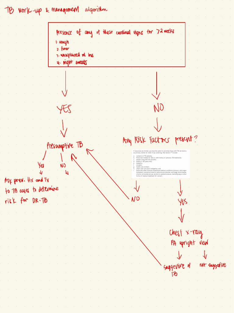 Tr Work-up a Management Algorithm | PDF