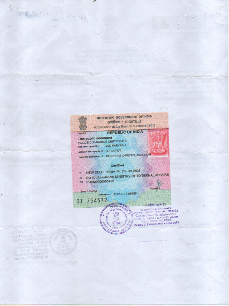 Amritsar Apo Format | PDF