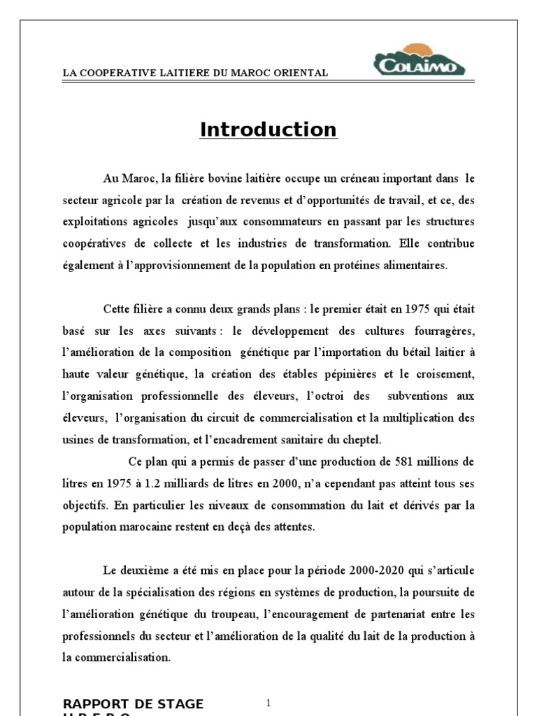 Rapport de Stage d Initiation Colaimo212111