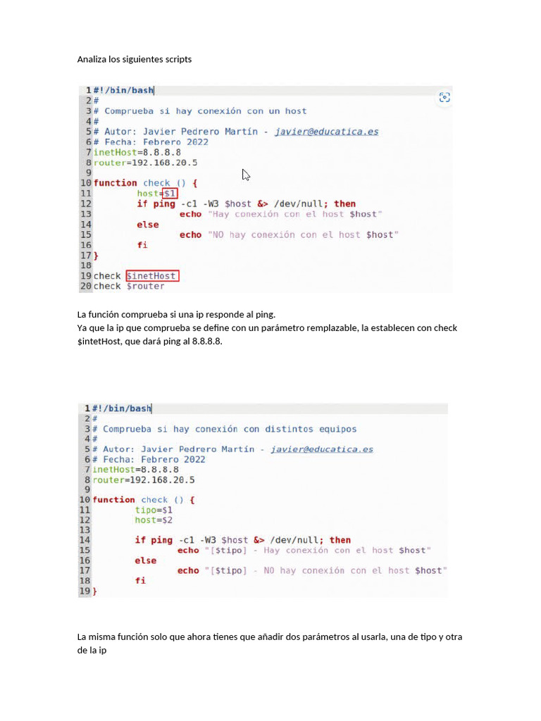 Análisis de Scripts de Ping IP | PDF