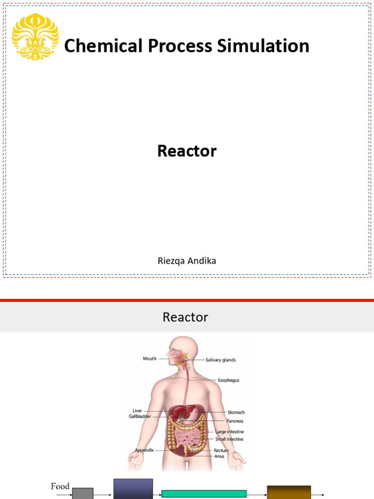Chemical Reactor Types and Simulations | PDF | Chemical Reactor ...