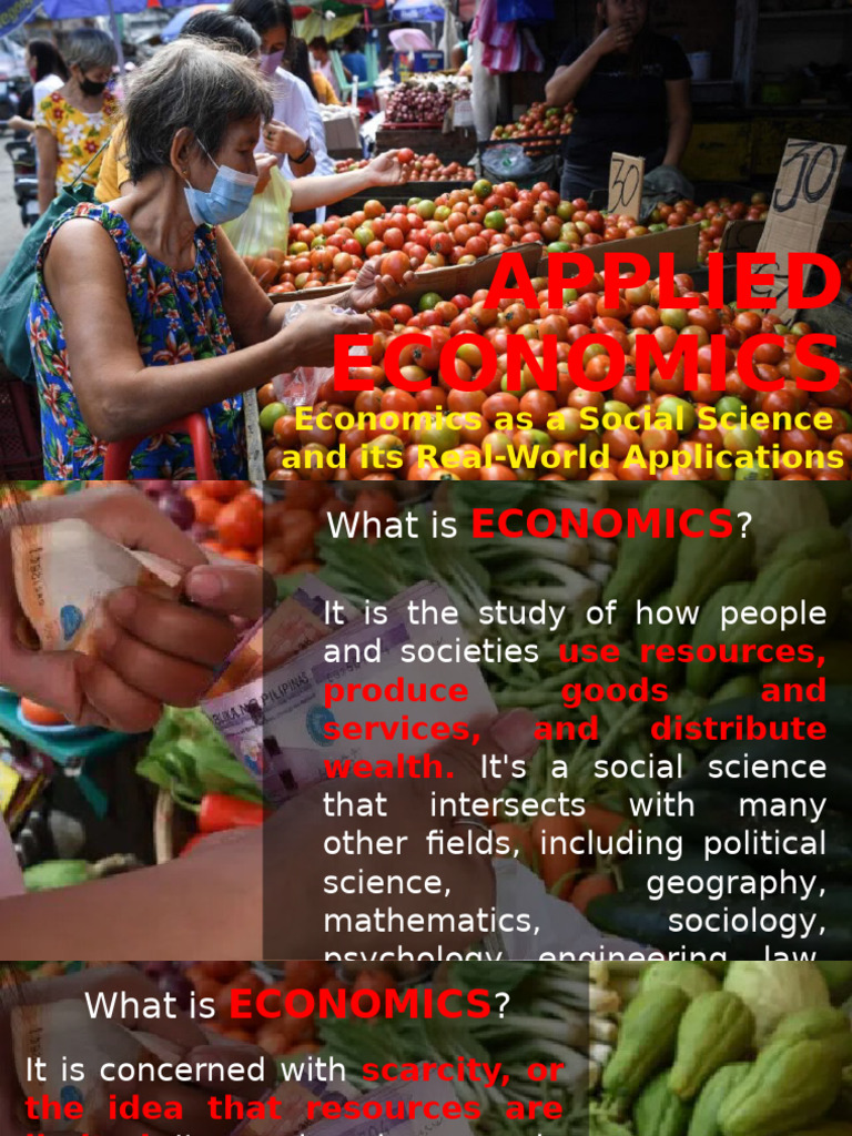 Economics: Social Science Insights | PDF | Economics | Social Sciences
