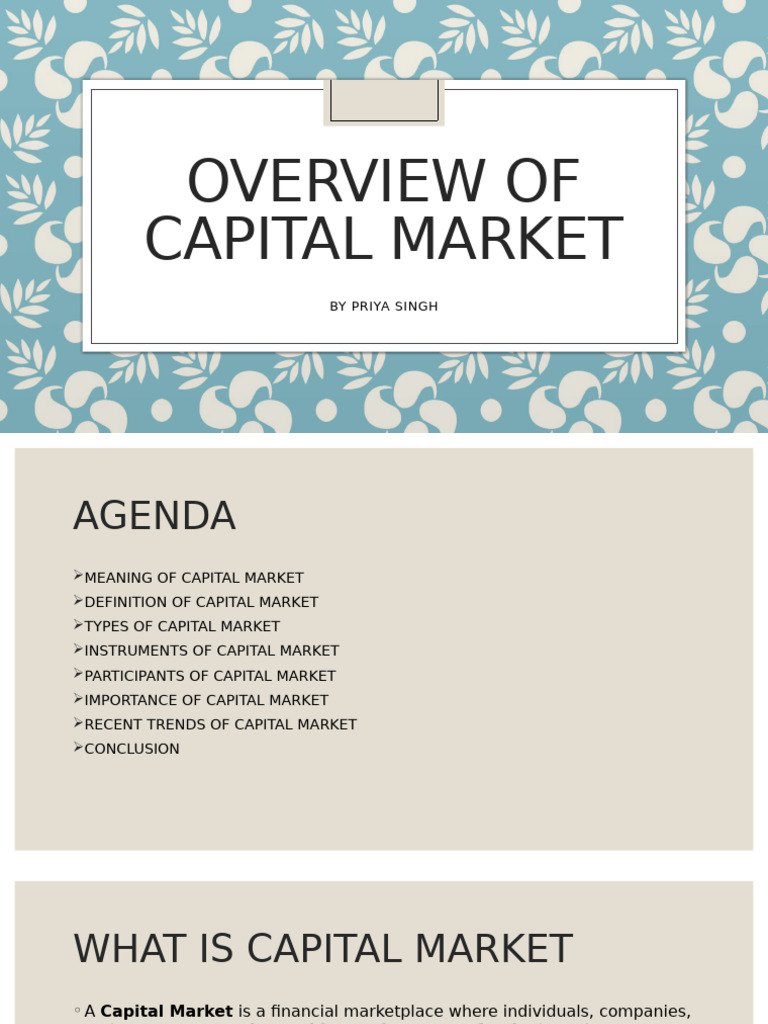 OVERVIEW_OF_CAPITAL_MARKET[1] presentation | PDF | Securities (Finance ...