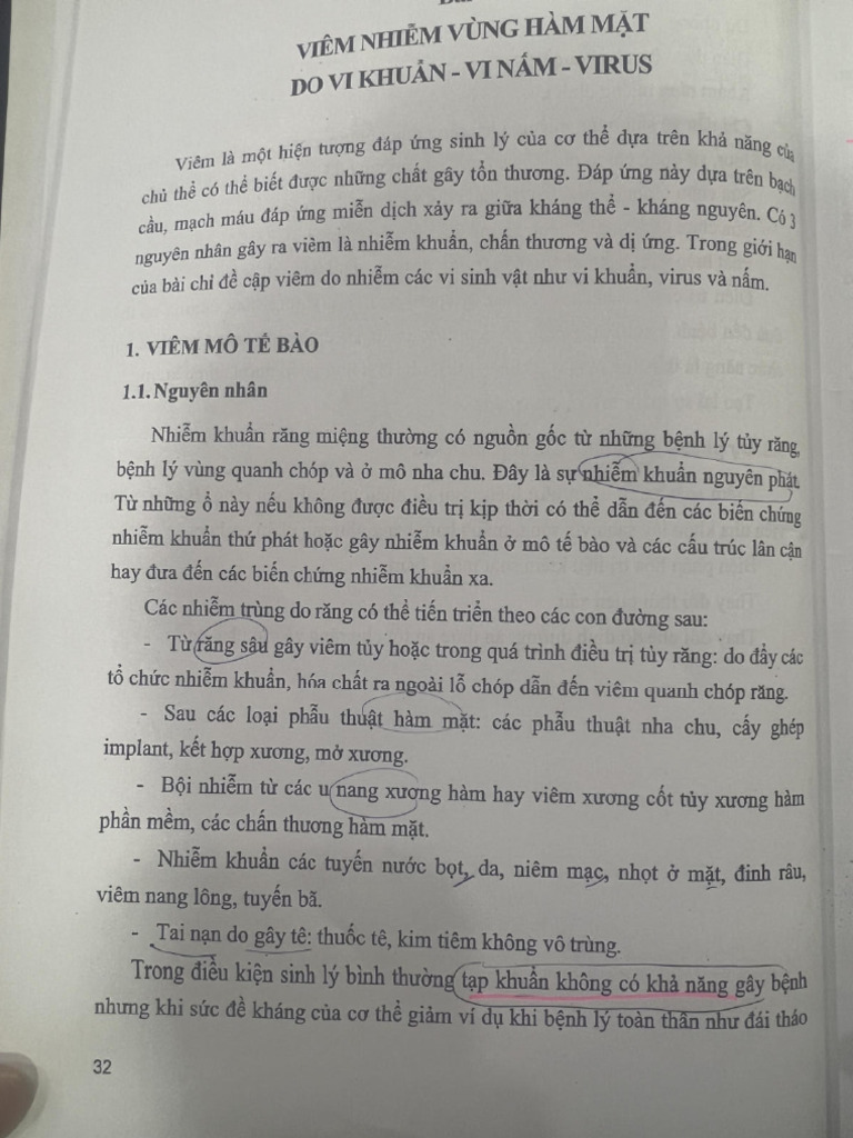 PDF 24 | PDF