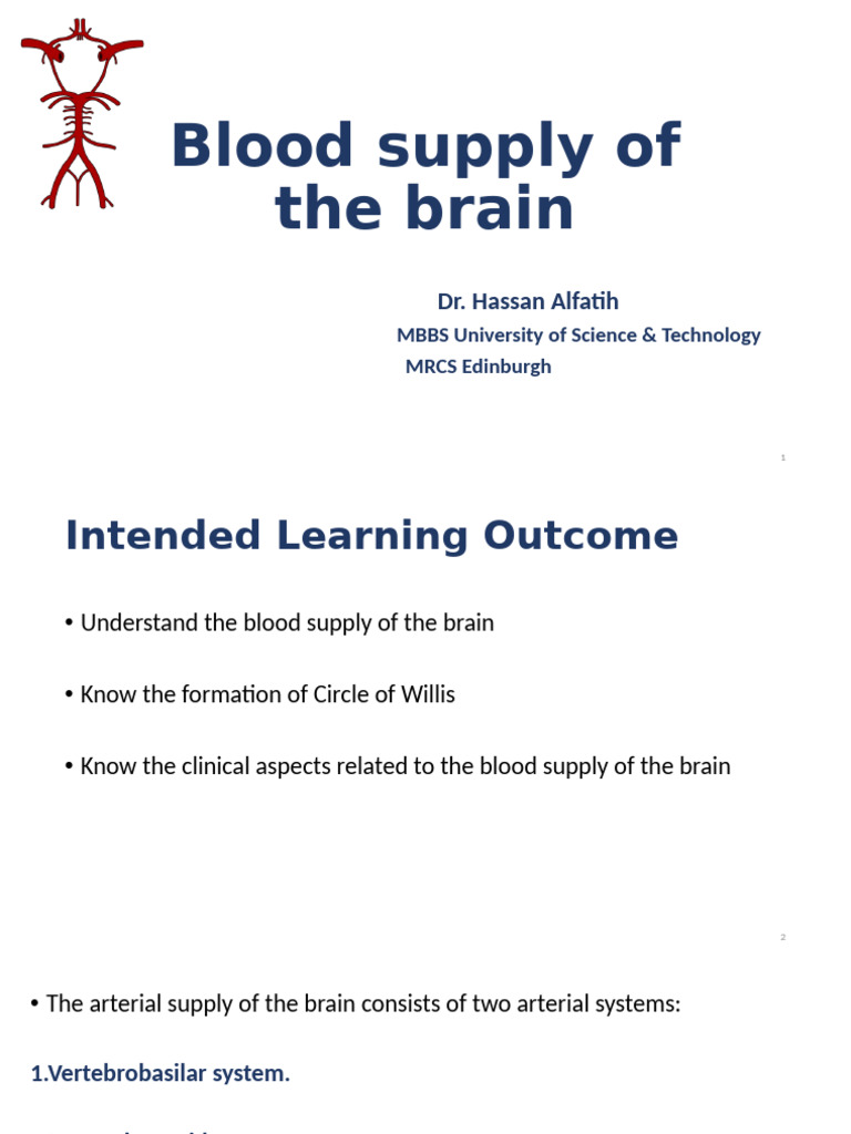 Brain Blood Supply Overview | PDF | Spinal Cord | Cerebral Hemisphere