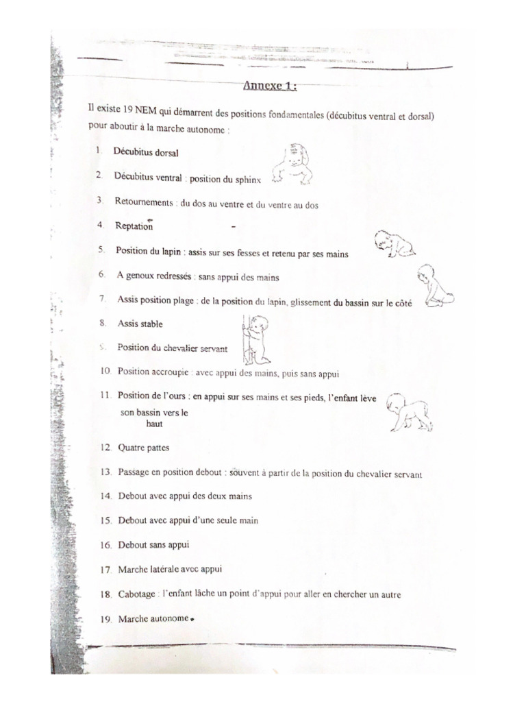 niveau-d-volution-motrice-pdf