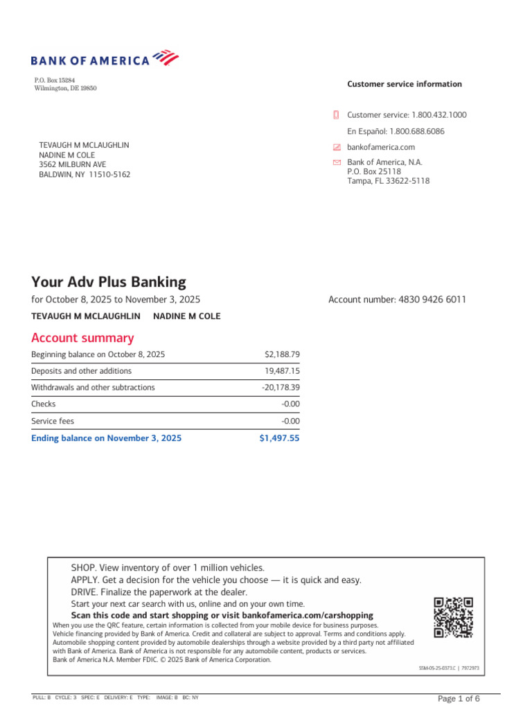 Boa Check Nov | PDF | Banks | Credit Card