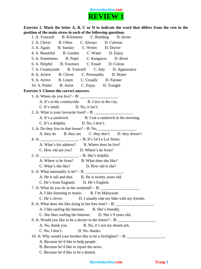 English Language Exercises for Beginners | PDF