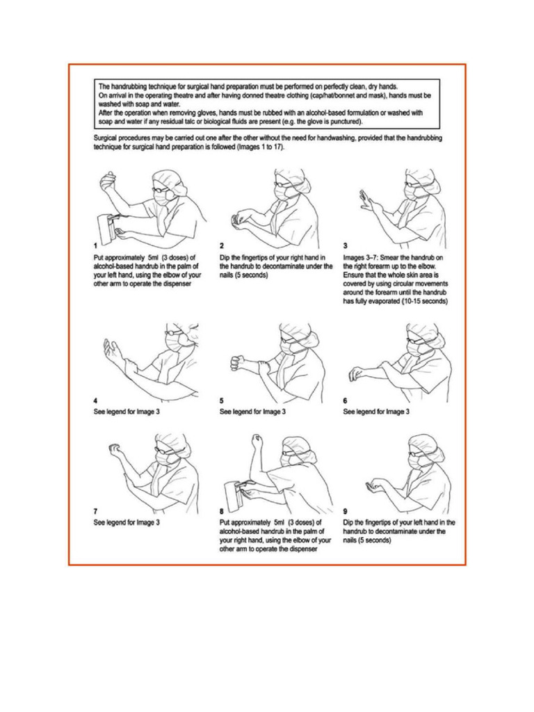 Hand Rub | PDF