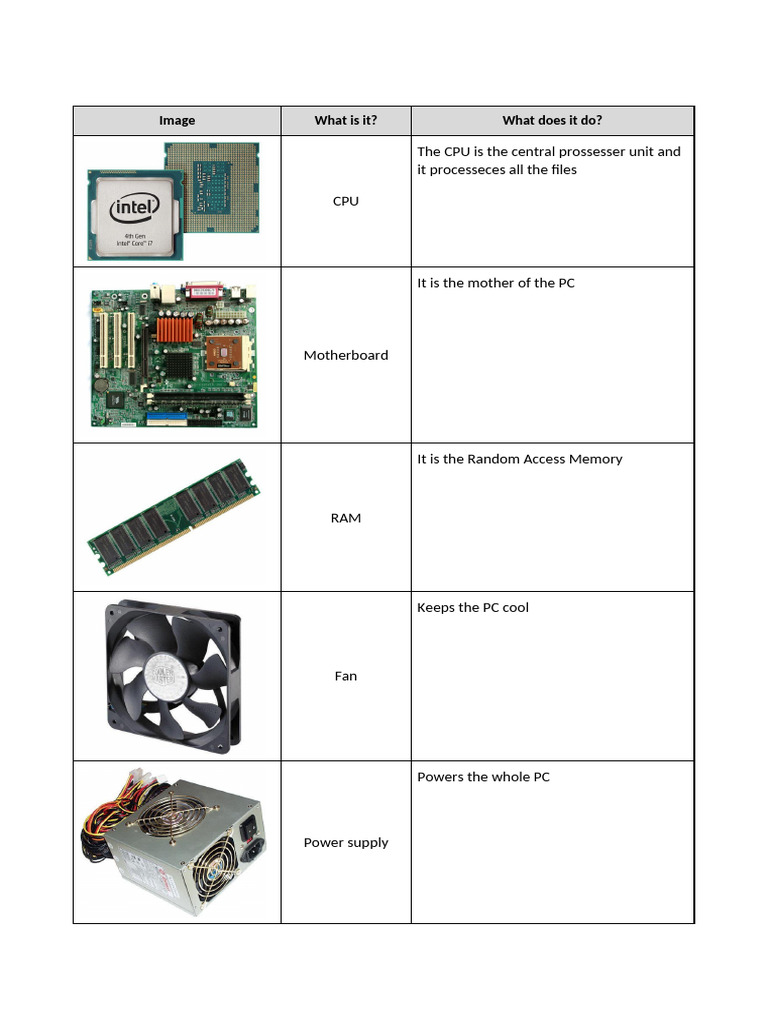 Term2 Lesson 1 Computer Hardware Medium 1 (2) | PDF