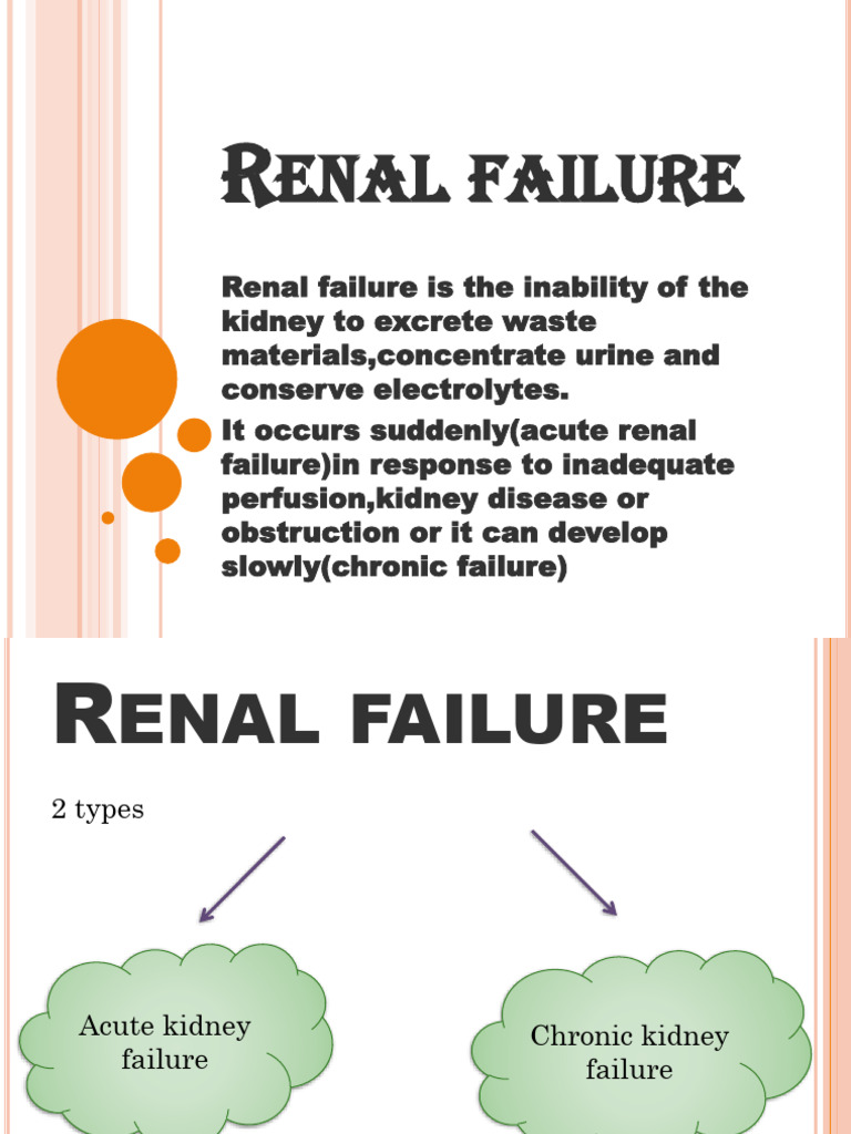 Understanding Renal Failure Types and Management | PDF | Kidney ...