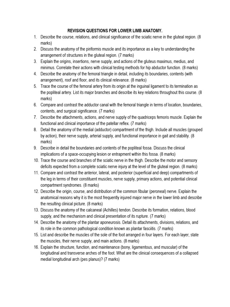 REVISION QUESTIONS FOR LOWER LIMB ANATOMY | PDF | Human Leg | Foot