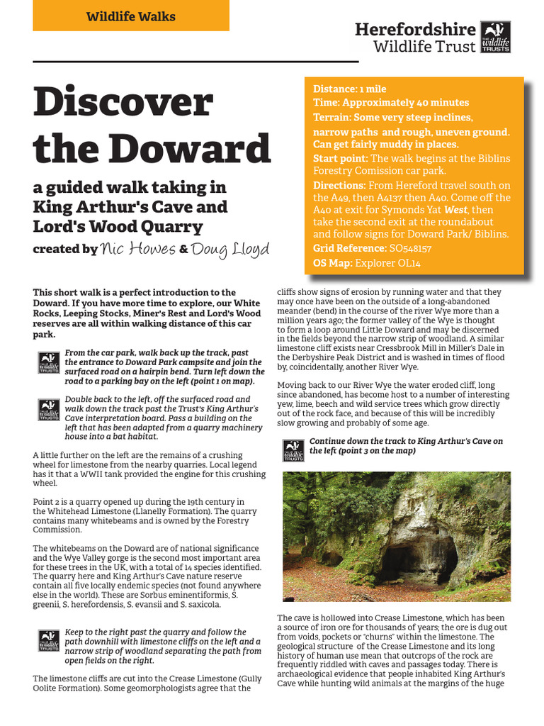 Guided-Walk-the-Doward_0 | PDF | Limestone | Cave