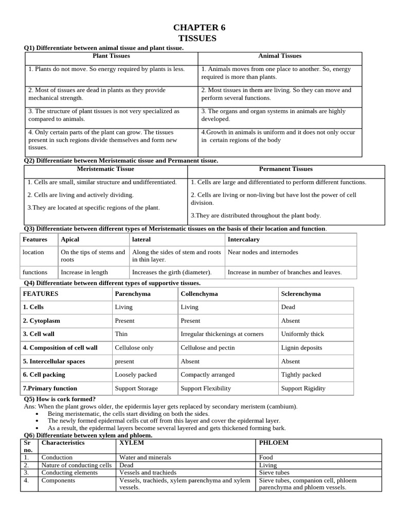 Class Ix Ch 6 Tissues [Written Work] Copy | PDF | Tissue (Biology ...
