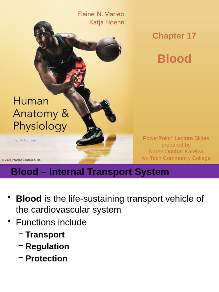 Chapter 17 Blood | PDF | Red Blood Cell | Blood