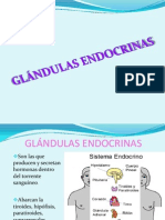 Glándulas Endocrinas
