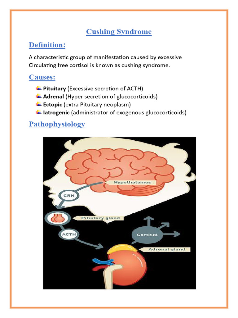 Understanding Cushing Syndrome Symptoms | PDF