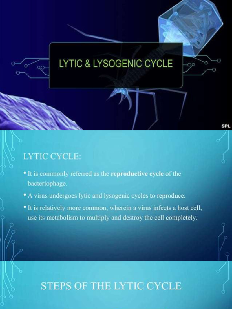 Lytic & Lysogenic Cycle of Virus | PDF