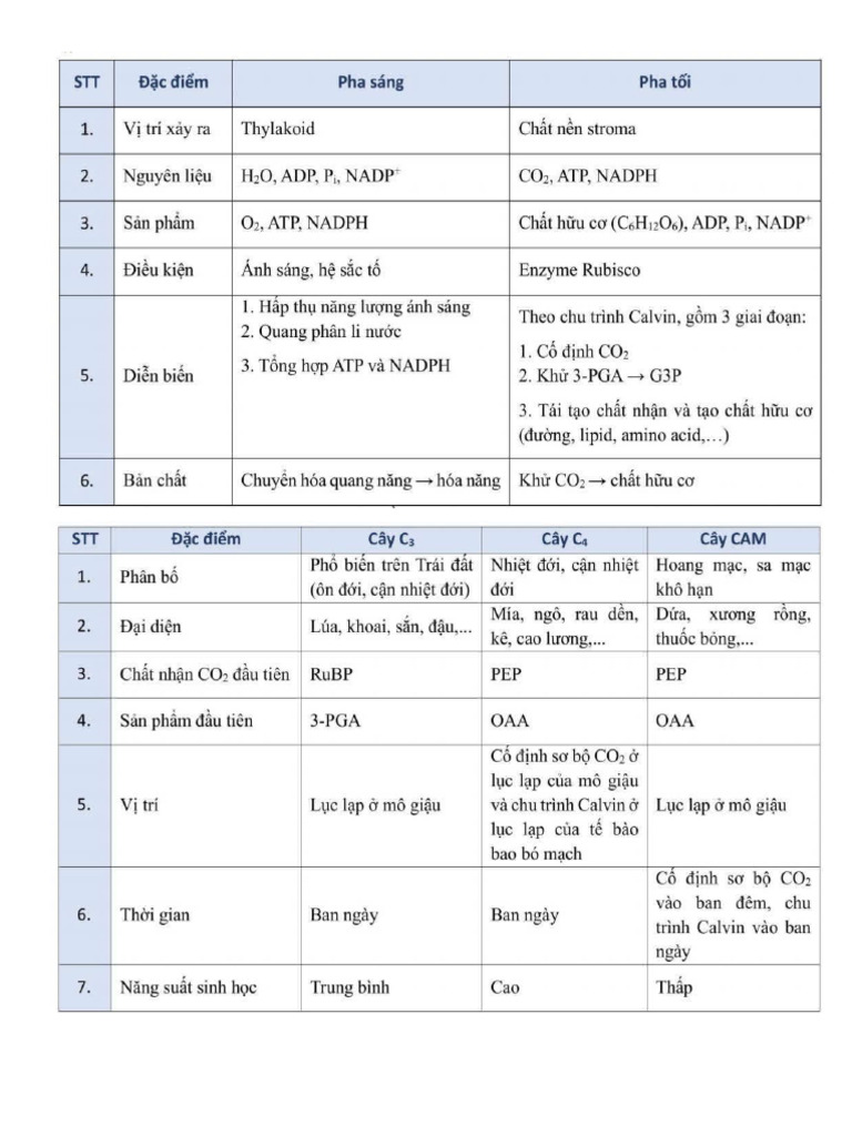 Sinh 11 | PDF