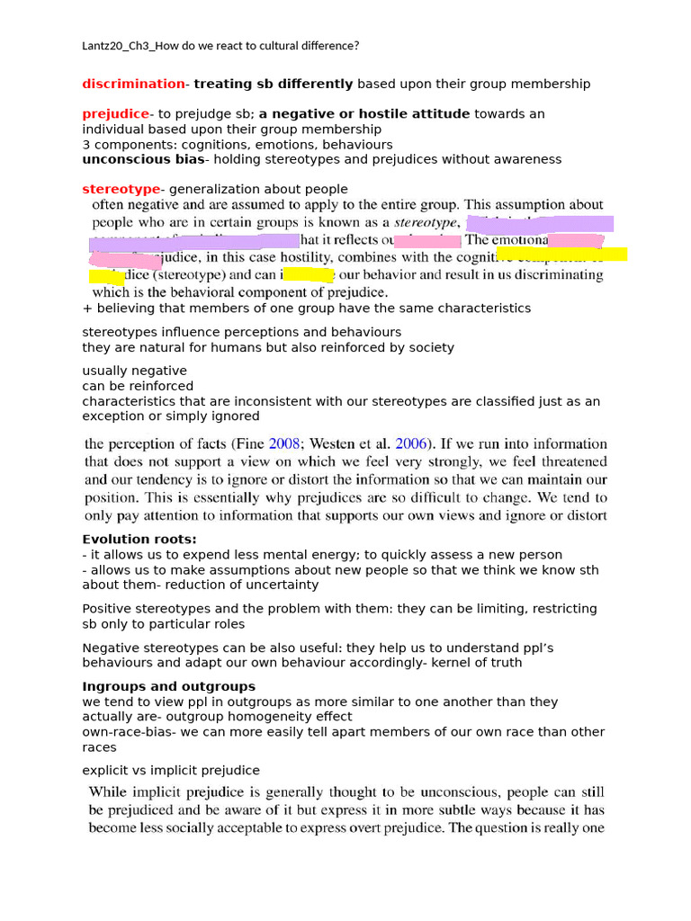 Understanding Cultural Differences and Bias | PDF | Prejudices ...