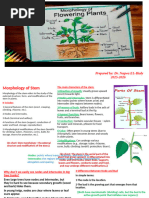 Functions of Buds in Plants | PDF | Plant Stem | Leaf