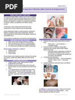 Dermal Puncture Procedure Guide | PDF | Hemodynamics | Hand