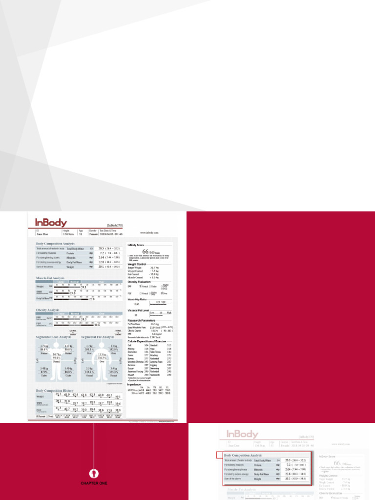 Panduan Analisis Hasil InBody | PDF
