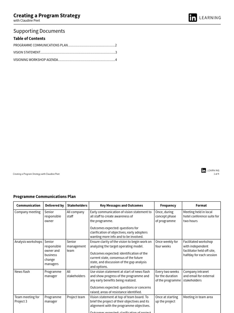 Program Strategy Development Guide | PDF | Communication