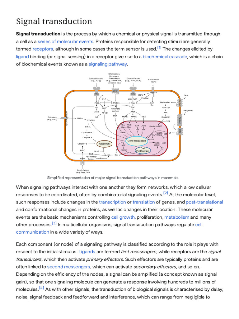 Signal Transduction Pathways Explained | PDF | Signal Transduction ...