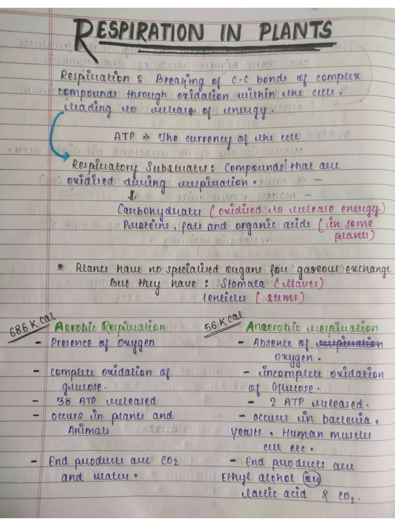 Respiration in Plants | PDF