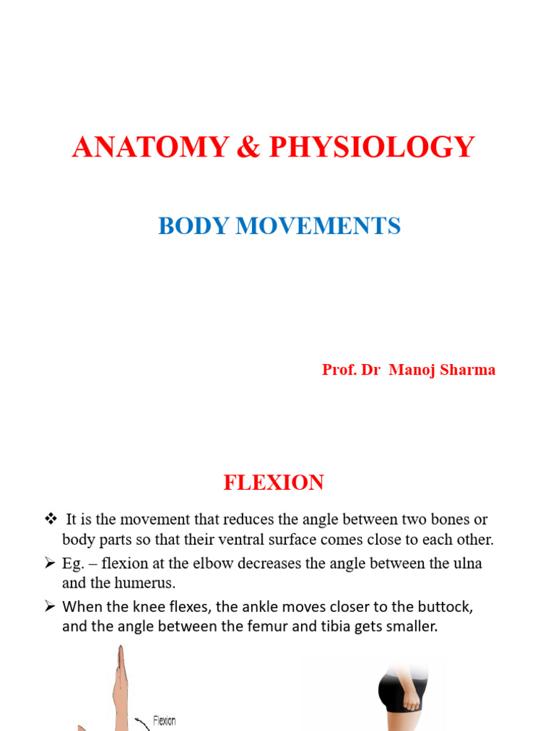Body Movements PDF | PDF | Anatomical Terms Of Motion | Human Anatomy